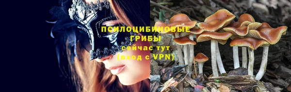 мескалин Горнозаводск