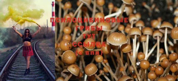 первитин Горняк