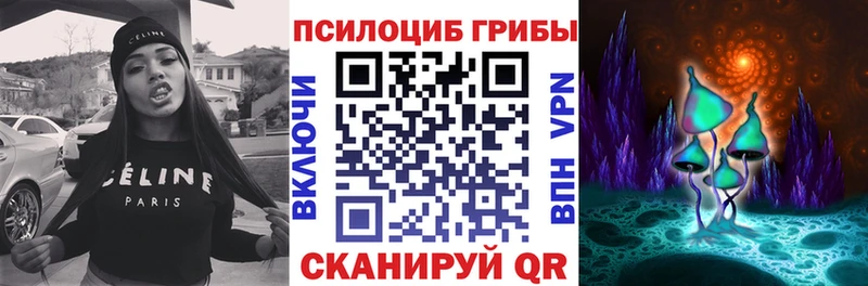 Псилоцибиновые грибы GOLDEN TEACHER  магазин продажи   Находка 